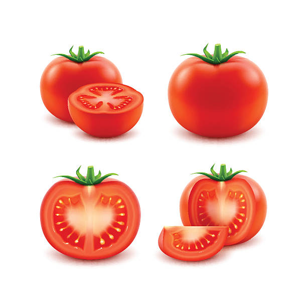 ilustra�ções, clipart, desenhos animados e ícones de conjunto de tomates inteiros frescos vermelhos fecham isolados - juicy