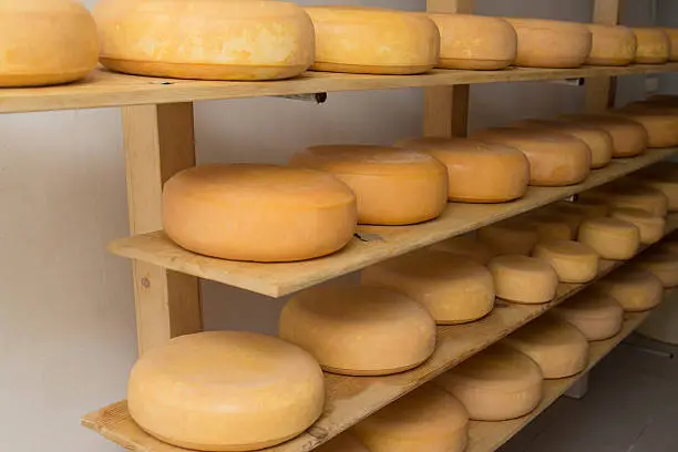Real production of smoked cheese