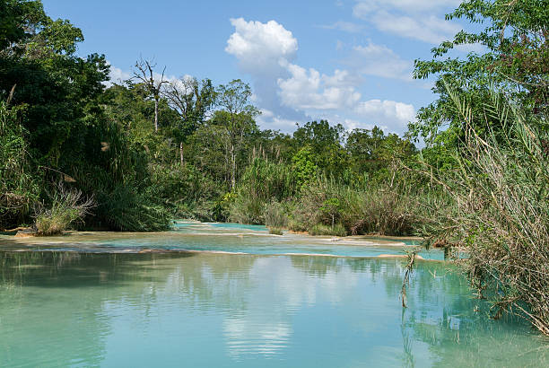 istock Aqua Azul waterfall on Chiapas 626814598