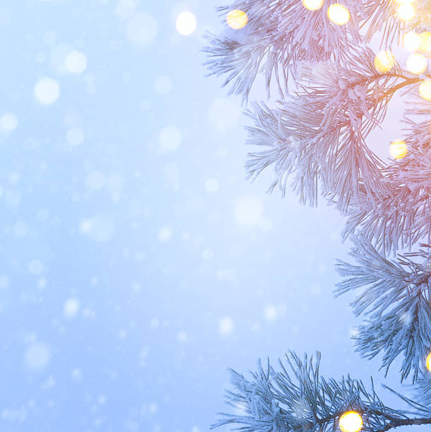 istock Snow Christmas tree and holidays light; Blue Christmas tree back 626816828