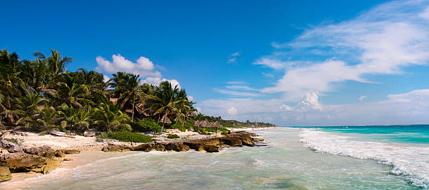 istock Tropical Sandy Beach on Caribbean Sea. Mexico. 626817038