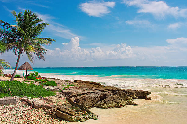 istock Tropical beach in caribbean sea, Yucatan. Mexico. 626817362