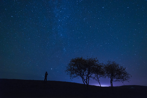 man and several trees under starry night sky