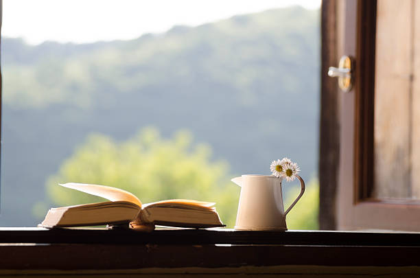 istock Open window - Blurred photo - Nature or Education background. 626828920