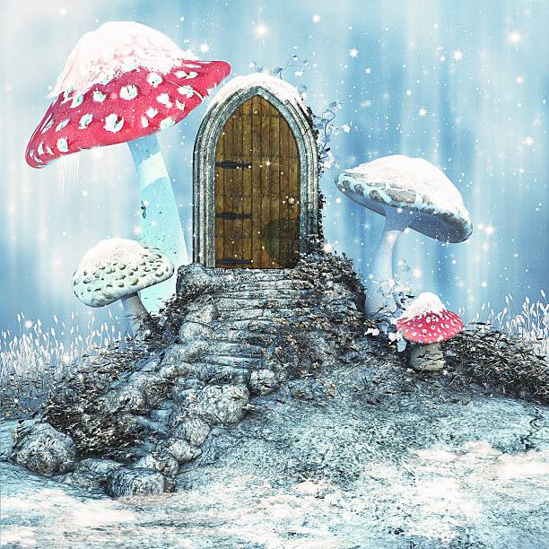 istock Magic door on a winter meadow 626829024