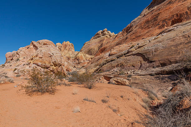 istock Valley of Fire Scenic 626831222