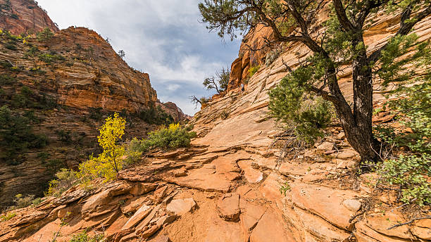 istock Beautiful landscape. Dry trees on rock slopes. 626832262