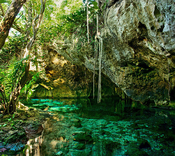 Grand Cenote in Mexico. stock photo