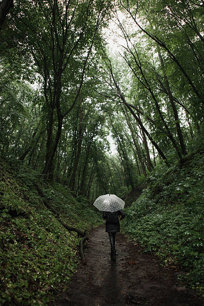 istock Young girl walking through a rainy forest with umbrella. 626837274