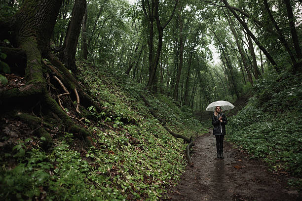 istock Young girl walking through a rainy forest with umbrella. 626837546