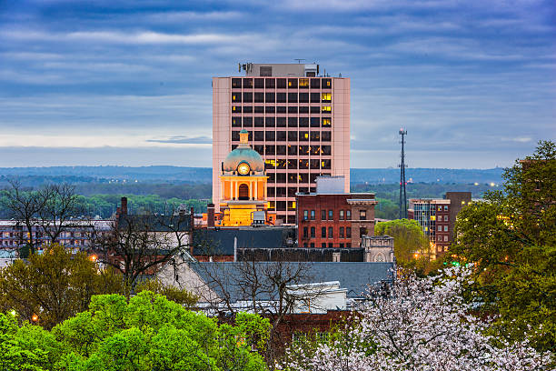 macon, georgia skyline - bibb lettuce zdjęcia i obrazy z banku zdjęć