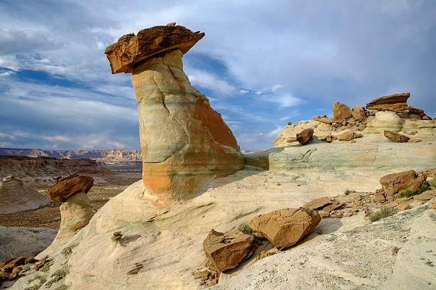 Close up image of natural toadstool in Utah