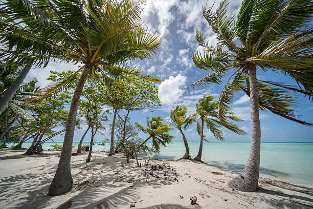 Teahatea Motu Islet, an untouched natural lagoon and dream beach islet in the UNESCO Nature Biosphere Reserve with tropical palm trees. Fakarava Atoll Island, UNESCO Biosphere Reserve, Tuamotu Islands Archipelago, French Polynesia. Ultra Hyper Wide Angle 10mm Landscape Shot.