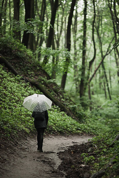 istock Young girl walking through a rainy forest with umbrella. 626838996