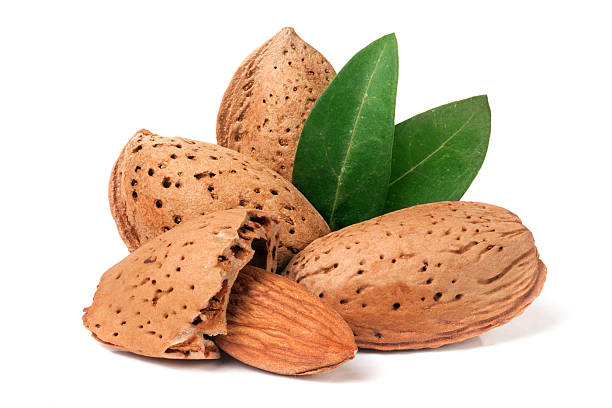istock almonds in their skins and peeled with leaf isolated on 626839806