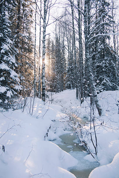istock Frozen creek in winter snowy forest, Zyuratkul 626839936
