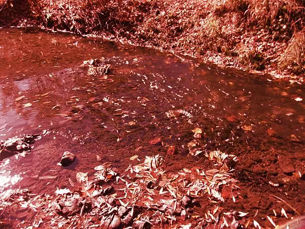 Photo of Running blood red river waters