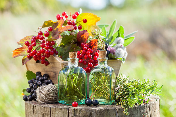 бутылки настойки, здоровые травы и ягоды на открытом воздухе. - vinegar bottle herb white стоковые фото и изображения