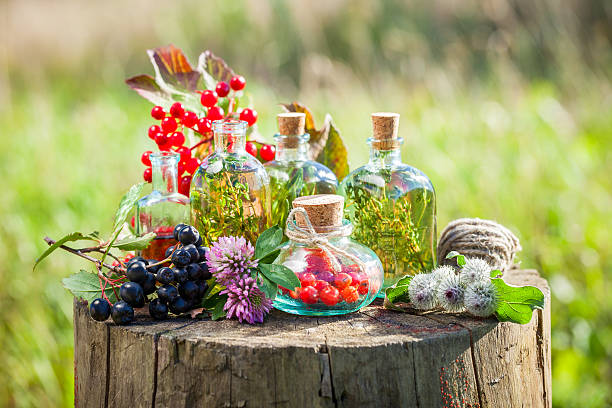 бутылки настойки, здоровые травы и ягоды на деревянном пне. - vinegar bottle herb white стоковые фото и изображения