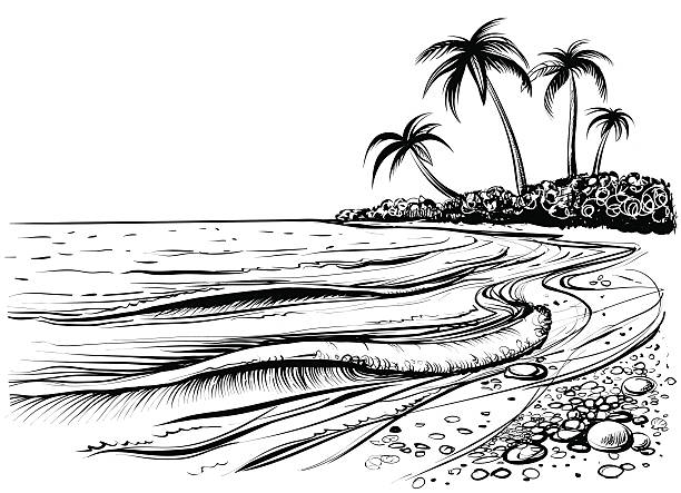 Ocean or sea beach with waves and palms, drawing. Ocean or sea beach with waves, sketch. Black and white vector illustration of sea shore with palms. Hand drawn seaside view bay of water illustrations stock illustrations