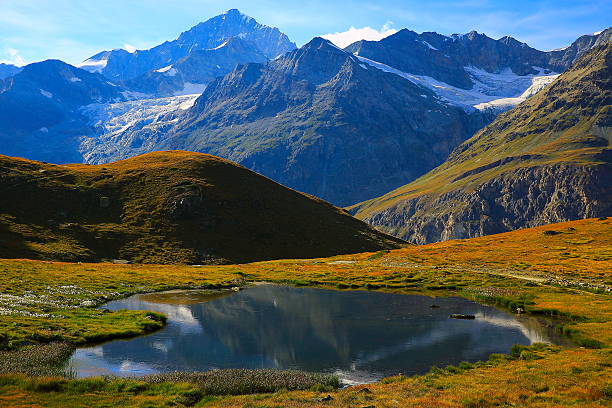 istock Swiss alps landscape: Mountain Lake reflection, cotton wildflowers, alpine meadows 626851520