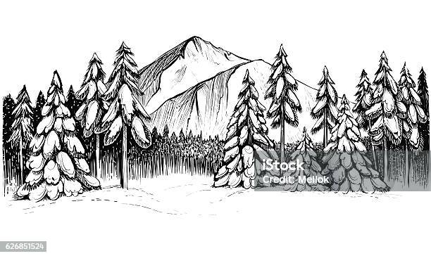 Ilustración de Bosque De Coníferas De Invierno En Montañas Dibujo Vectorial  En Blanco Y Negro y más Vectores Libres de Derechos de Boscaje - iStock