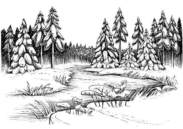 ilustraciones, imágenes clip art, dibujos animados e iconos de stock de río de invierno bajo el hielo y bosque de coníferas, dibujo vectorial. - frozen cold lake reed
