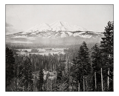 Antique photograph of Mount Shasta