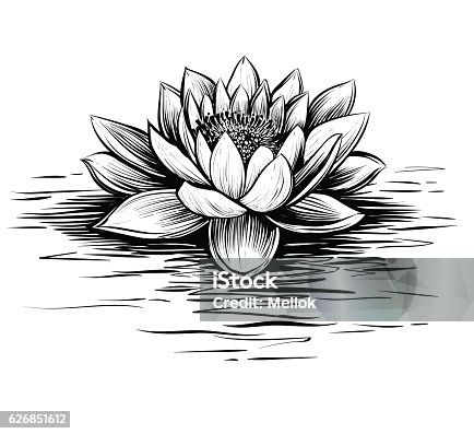 82 Black And White Lotus Flower Cartoon Illustrations & Clip Art - iStock