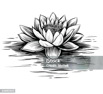 82 Black And White Lotus Flower Cartoon Illustrations & Clip Art - iStock 82 Black And White Lotus Flower Cartoon Illustrations & Clip Art - iStock