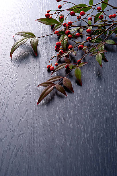 bambu celeste - nandina - fotografias e filmes do acervo