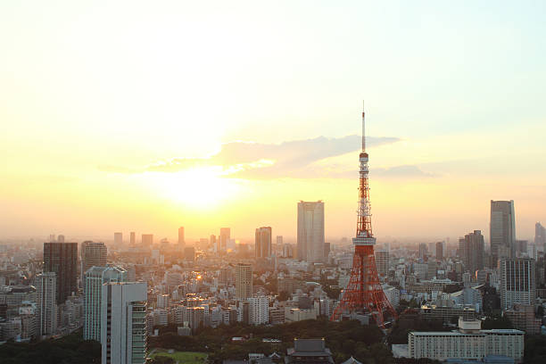 istock Japan skyline with tokyo tower background 626854184