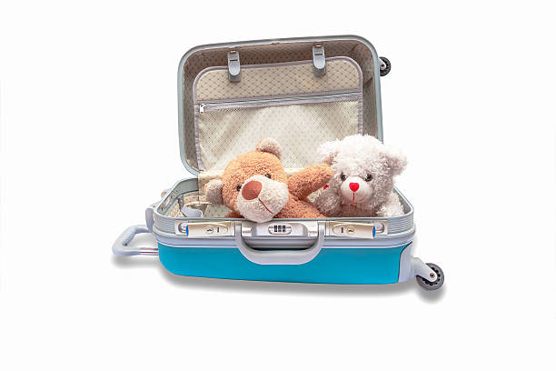 Two teddy bear sitting in a suitcase, on a white background. stock photo