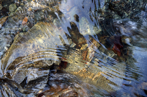 the bottom of a clear stream