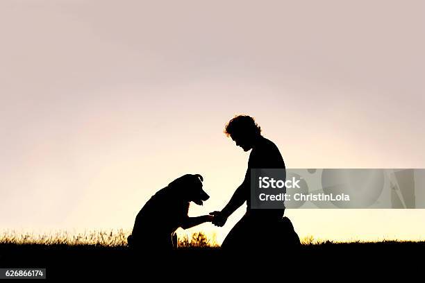 Silhouette Of Man Shaking Hands With His Loyal Pet Dog Stock Photo - Download Image Now