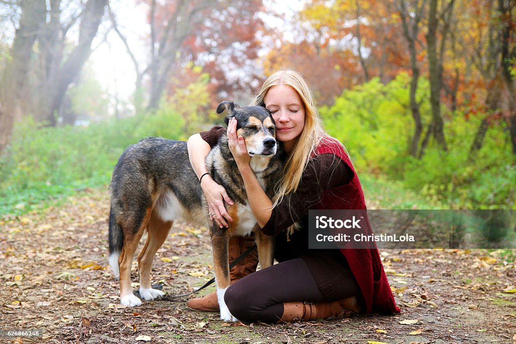 Peaceful Happy Woman Hugging German Shepherd Dog While A happy, peaceful young woman has stopped walking her dog along a path in the autumn forest to hug him lovingly. Senior Adult Stock Photo