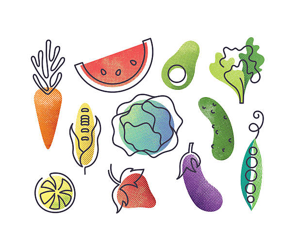 Colorful icons' set of fruits and vegetables. Colorful vector icons' set of fruits and vegetables. Isolated creative design healthy life objects. Vegetarian and vegan food halftone textured and monoline symbols' pack. No gradients. food illustrations stock illustrations