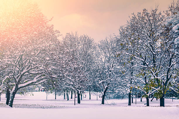 Winter in a city park in the Stockholm region, Sweden.