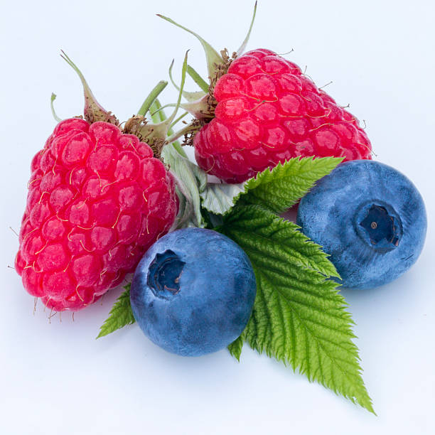istock close-up of berries on a white background 626891968