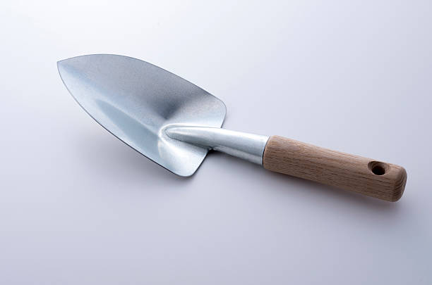 istock Shovel for plant on white background 626900940