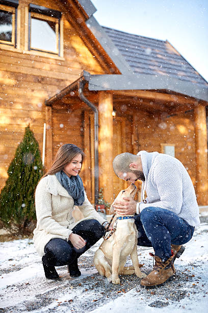 istock Love between dog and owner 626904688
