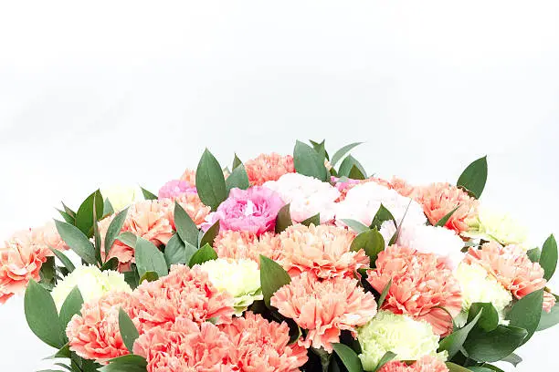 Beautiful blooming color carnations in a bucket on a white background.