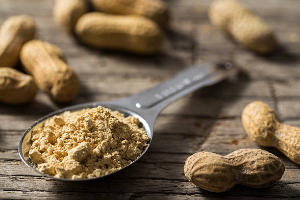 dehydrated peanut powder with peanuts - arachis hypogaea fotos imagens e fotografias de stock