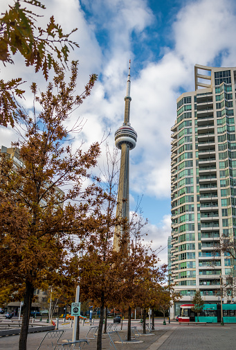 Toronto, Сanada - November 10, 2016: Buildings in Downtown Toronto with CN Tower and Autumn vegetation - Toronto, Ontario, Canada