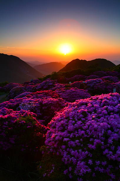 istock Miyama Kirishima and the sunset 626907246
