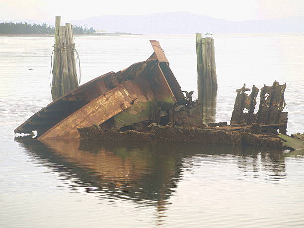 istock Shipwreck at Royston Wrecks in British Columbia 626916236