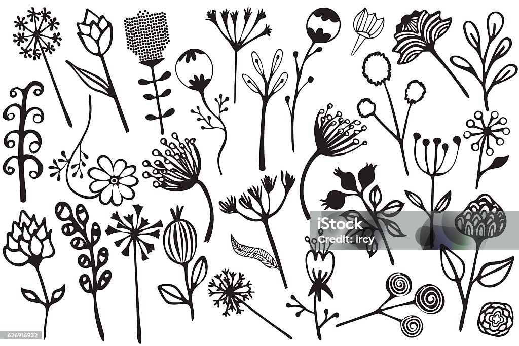 Mano disegnata elementi vintage floreali - arte vettoriale royalty-free di Natura