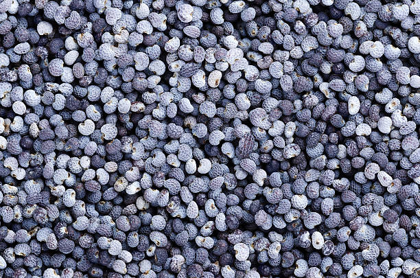istock Blue poppy seeds close up macro photo 626917372