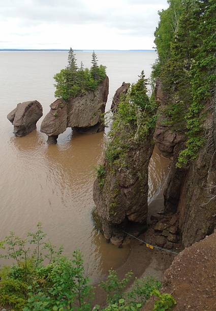 istock Hopewell Rocks High Tide 626917518