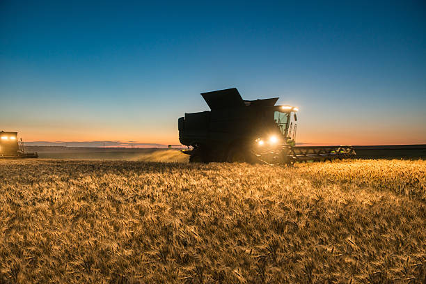 istock Combine harvester working on a wheat crop at night 626917900